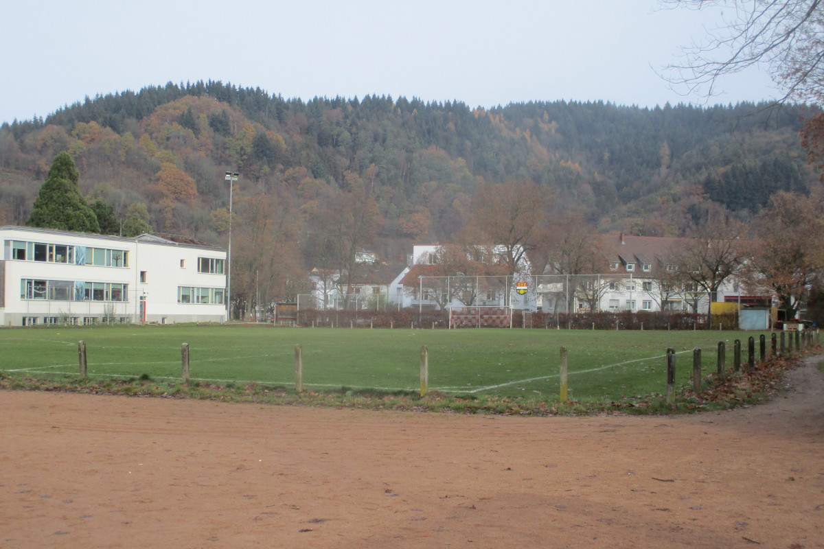 Bolzplatz An der Dreisam / Reinhold-Schneider-Straße